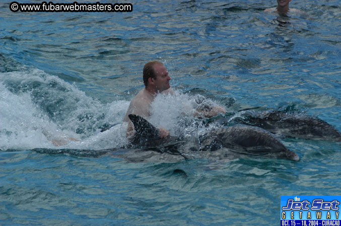 Sunday's Dolphin Swim Adventure and Animal Encounter 2004