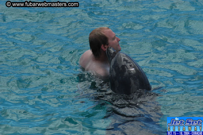 Sunday's Dolphin Swim Adventure and Animal Encounter 2004