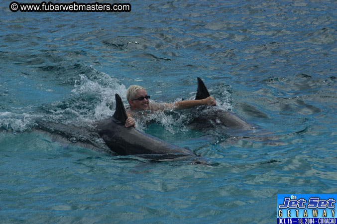 Sunday's Dolphin Swim Adventure and Animal Encounter 2004