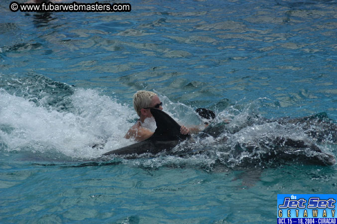 Sunday's Dolphin Swim Adventure and Animal Encounter 2004