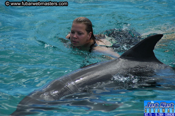 Sunday's Dolphin Swim Adventure and Animal Encounter 2004