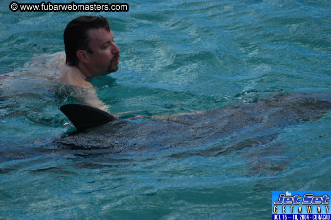 Sunday's Dolphin Swim Adventure and Animal Encounter 2004
