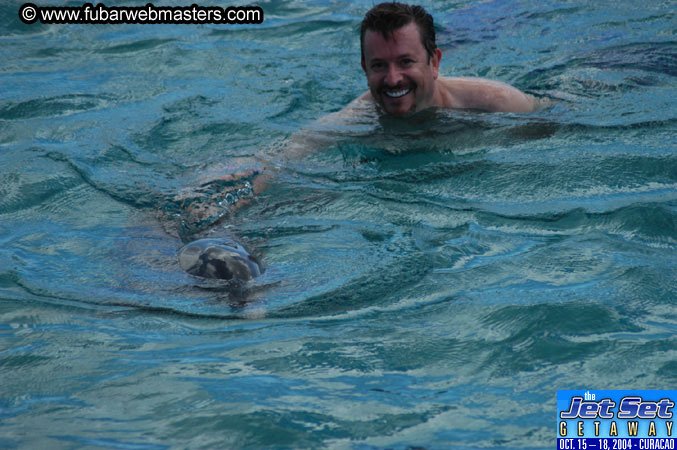 Sunday's Dolphin Swim Adventure and Animal Encounter 2004