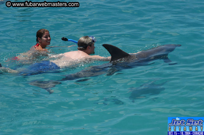 Sunday's Dolphin Swim Adventure and Animal Encounter 2004