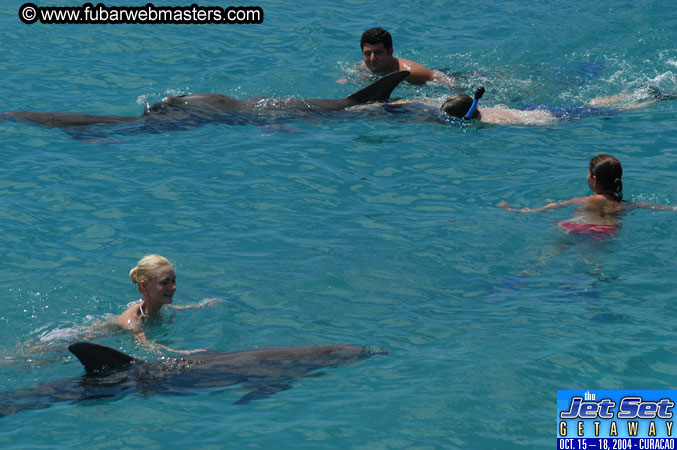 Sunday's Dolphin Swim Adventure and Animal Encounter 2004
