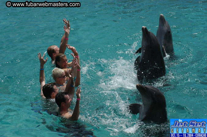 Sunday's Dolphin Swim Adventure and Animal Encounter 2004