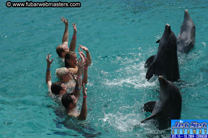 Sunday's Dolphin Swim Adventure and Animal Encounter 2004