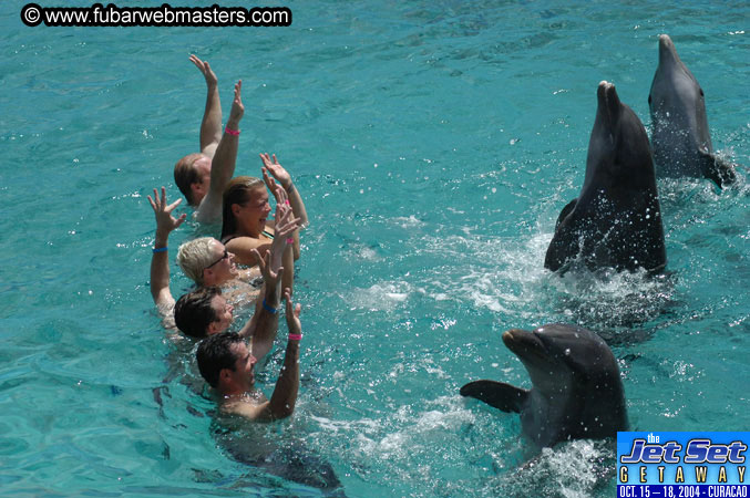 Sunday's Dolphin Swim Adventure and Animal Encounter 2004