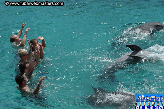Sunday's Dolphin Swim Adventure and Animal Encounter 2004