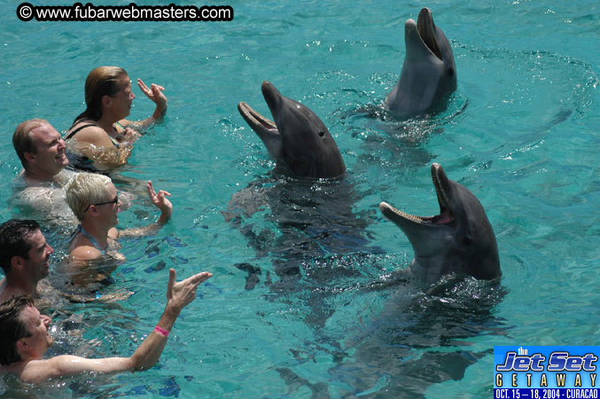 Sunday's Dolphin Swim Adventure and Animal Encounter 2004