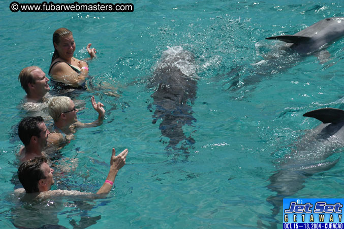 Sunday's Dolphin Swim Adventure and Animal Encounter 2004