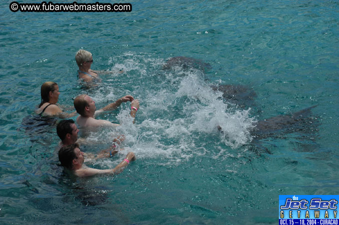 Sunday's Dolphin Swim Adventure and Animal Encounter 2004