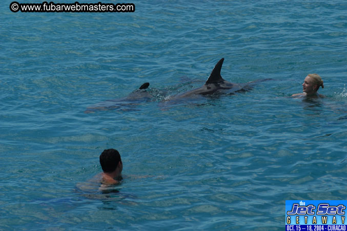 Sunday's Dolphin Swim Adventure and Animal Encounter 2004