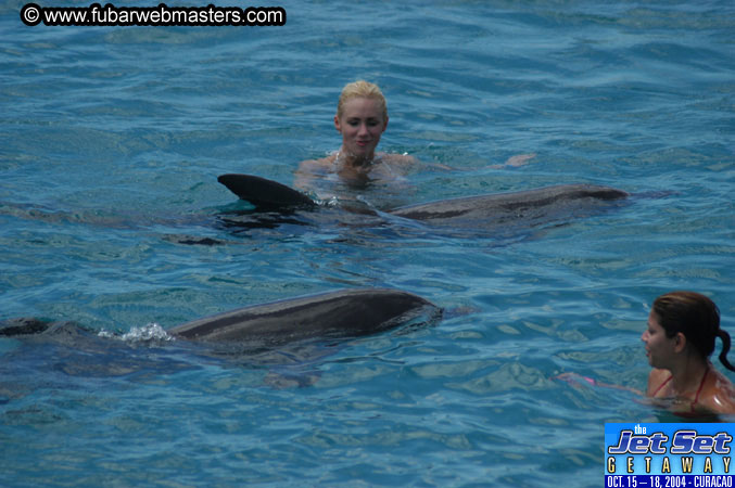 Sunday's Dolphin Swim Adventure and Animal Encounter 2004