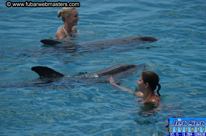Sunday's Dolphin Swim Adventure and Animal Encounter 2004