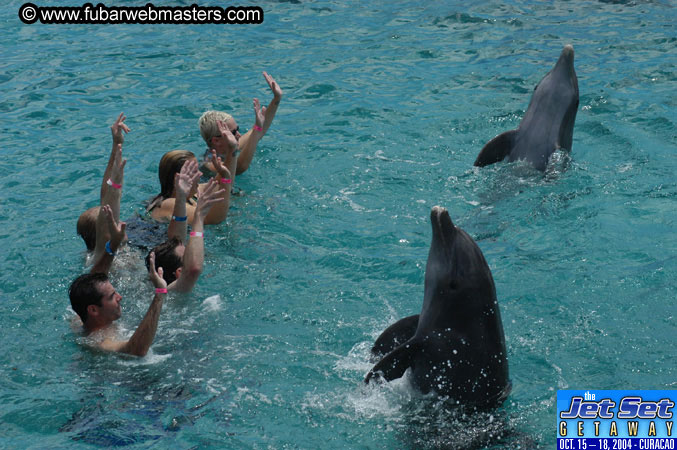 Sunday's Dolphin Swim Adventure and Animal Encounter 2004