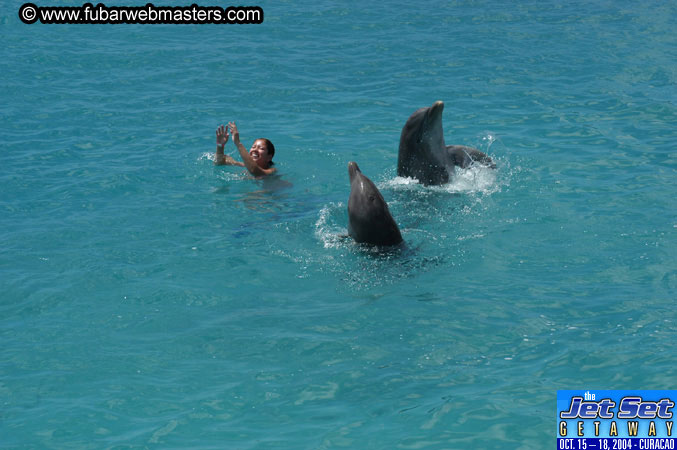 Sunday's Dolphin Swim Adventure and Animal Encounter 2004
