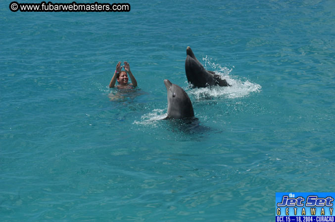 Sunday's Dolphin Swim Adventure and Animal Encounter 2004