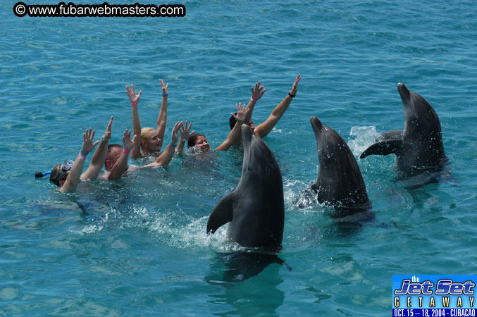 Sunday's Dolphin Swim Adventure and Animal Encounter 2004