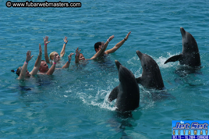 Sunday's Dolphin Swim Adventure and Animal Encounter 2004
