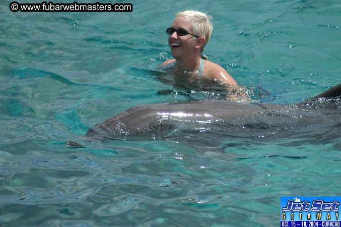 Sunday's Dolphin Swim Adventure and Animal Encounter 2004