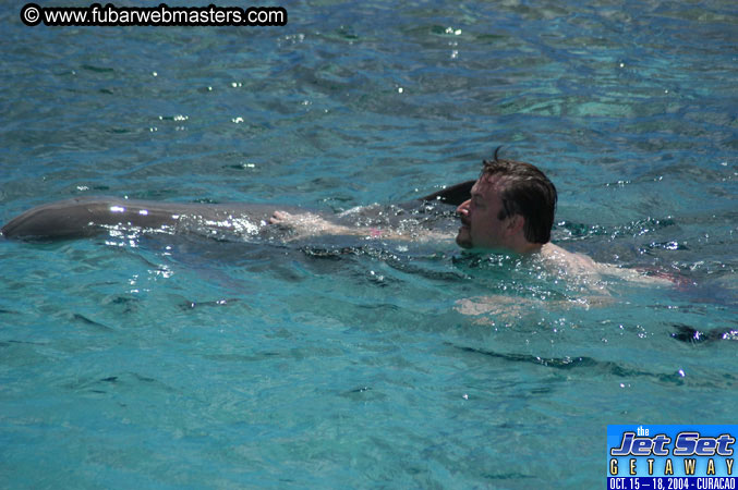 Sunday's Dolphin Swim Adventure and Animal Encounter 2004