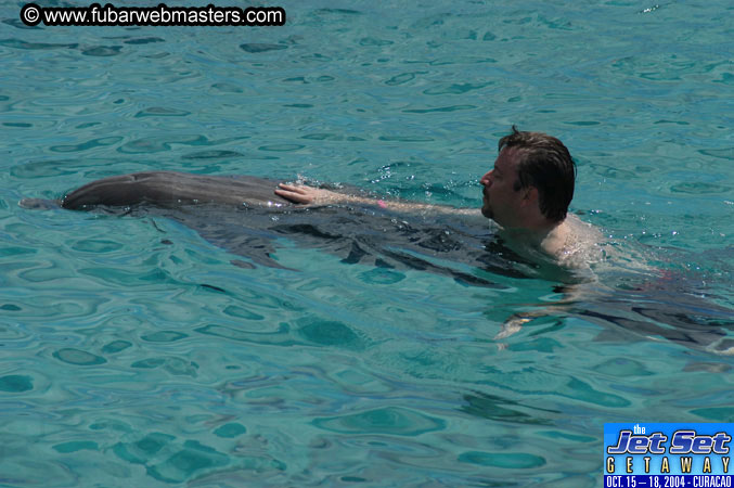 Sunday's Dolphin Swim Adventure and Animal Encounter 2004