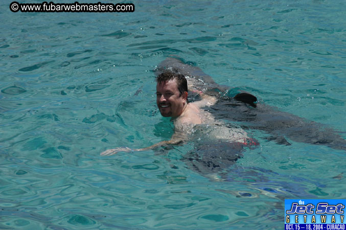Sunday's Dolphin Swim Adventure and Animal Encounter 2004