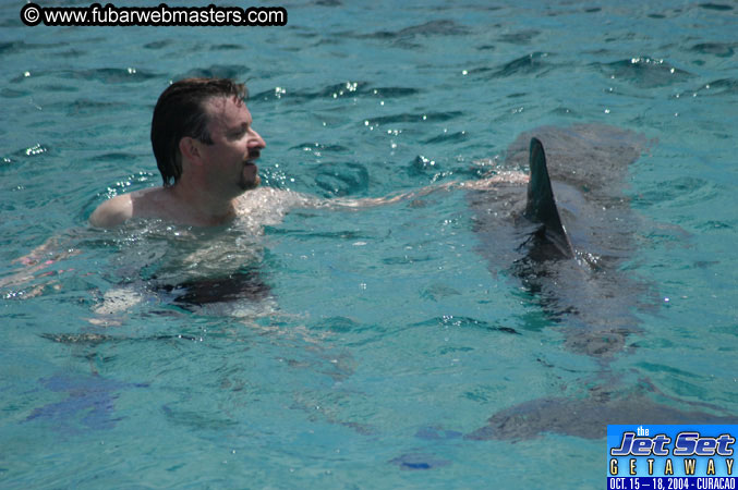 Sunday's Dolphin Swim Adventure and Animal Encounter 2004