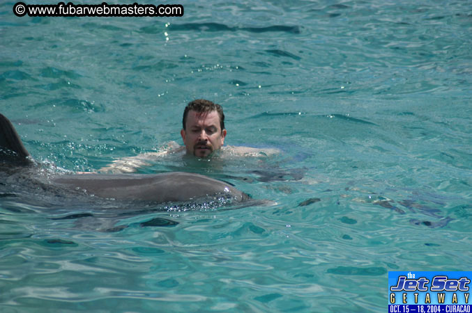 Sunday's Dolphin Swim Adventure and Animal Encounter 2004