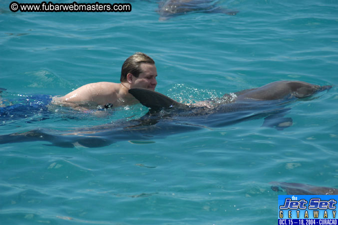 Sunday's Dolphin Swim Adventure and Animal Encounter 2004