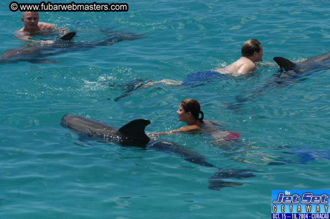 Sunday's Dolphin Swim Adventure and Animal Encounter 2004