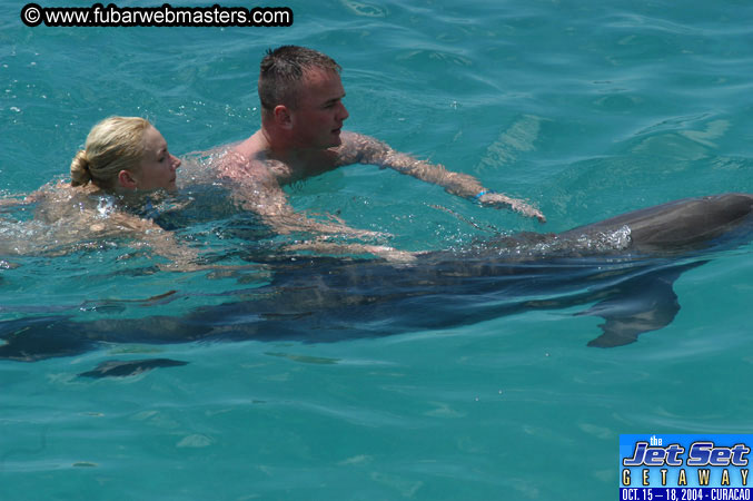 Sunday's Dolphin Swim Adventure and Animal Encounter 2004
