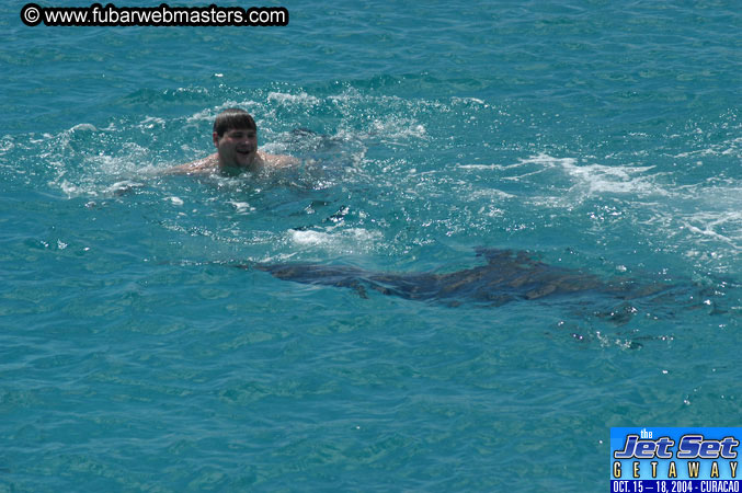 Sunday's Dolphin Swim Adventure and Animal Encounter 2004