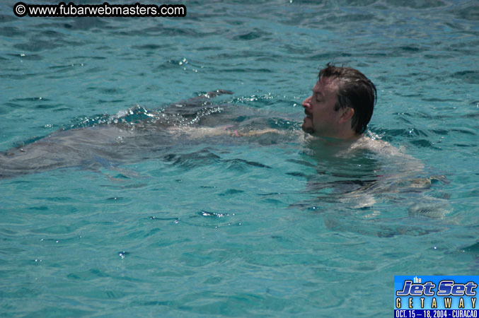 Sunday's Dolphin Swim Adventure and Animal Encounter 2004