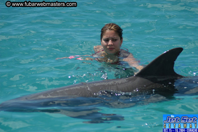 Sunday's Dolphin Swim Adventure and Animal Encounter 2004