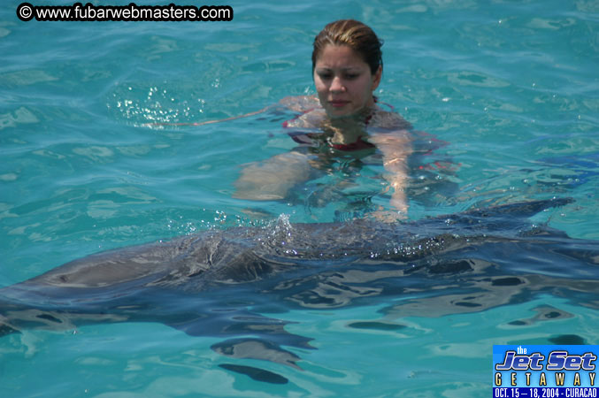 Sunday's Dolphin Swim Adventure and Animal Encounter 2004