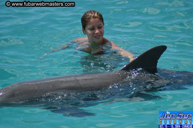 Sunday's Dolphin Swim Adventure and Animal Encounter 2004