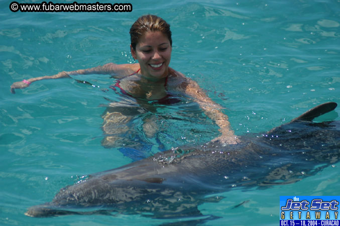 Sunday's Dolphin Swim Adventure and Animal Encounter 2004
