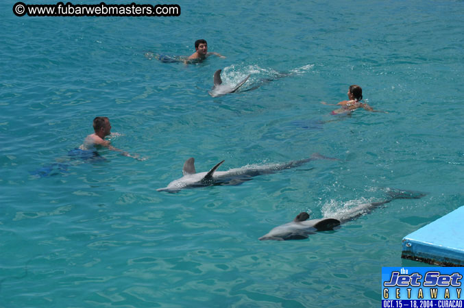 Sunday's Dolphin Swim Adventure and Animal Encounter 2004