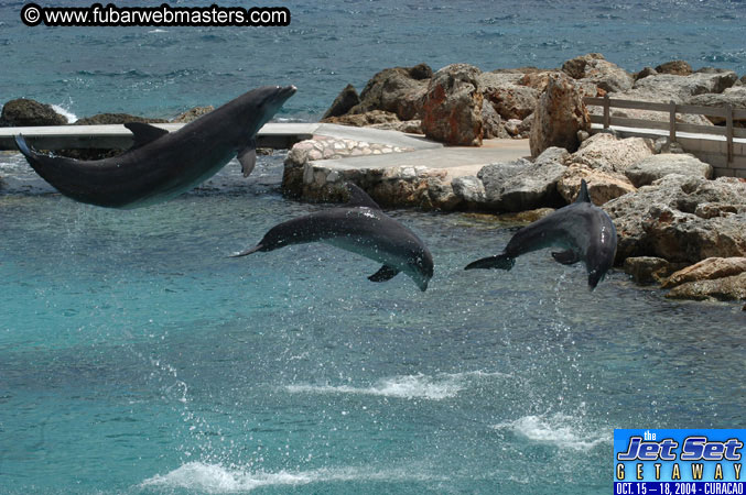 Sunday's Dolphin Swim Adventure and Animal Encounter 2004