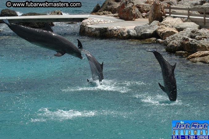 Sunday's Dolphin Swim Adventure and Animal Encounter 2004