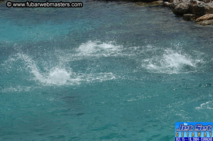 Sunday's Dolphin Swim Adventure and Animal Encounter 2004