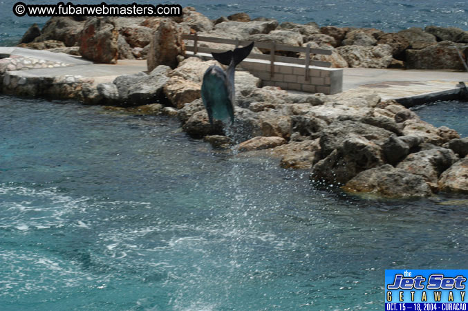 Sunday's Dolphin Swim Adventure and Animal Encounter 2004