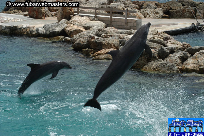 Sunday's Dolphin Swim Adventure and Animal Encounter 2004
