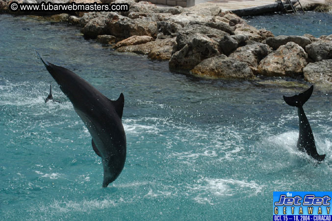Sunday's Dolphin Swim Adventure and Animal Encounter 2004