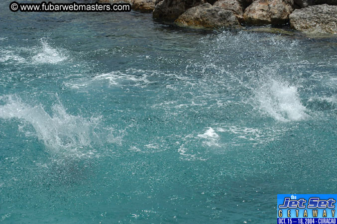 Sunday's Dolphin Swim Adventure and Animal Encounter 2004