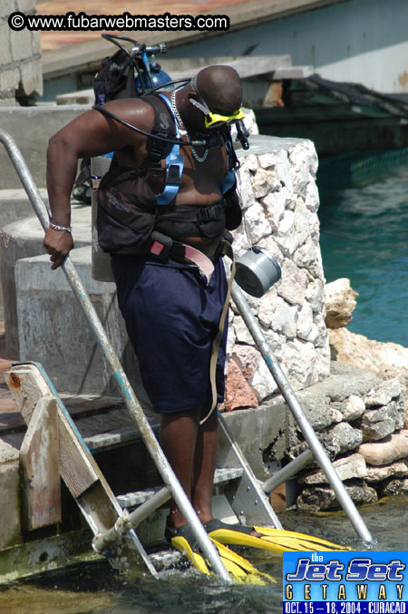 Sunday's Dolphin Swim Adventure and Animal Encounter 2004