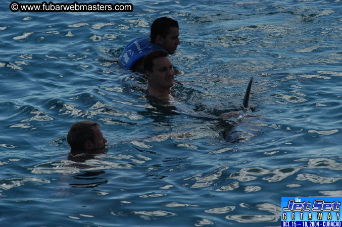Sunday's Dolphin Swim Adventure and Animal Encounter 2004