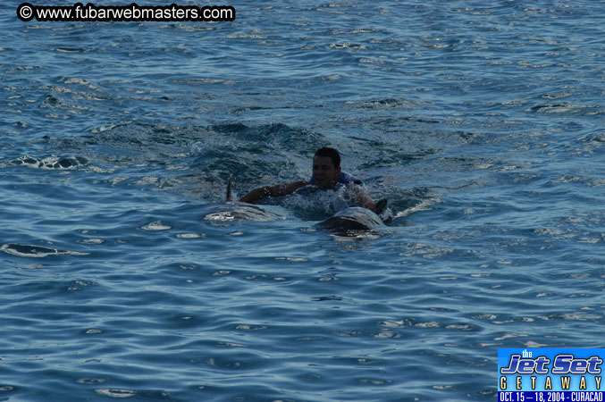 Sunday's Dolphin Swim Adventure and Animal Encounter 2004